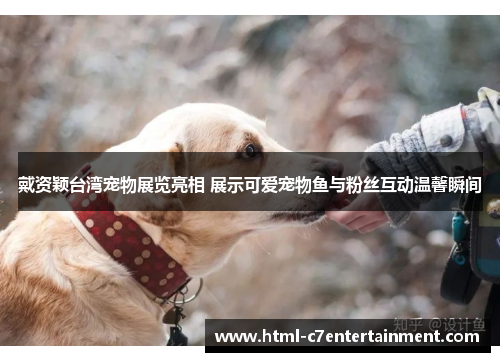 戴资颖台湾宠物展览亮相 展示可爱宠物鱼与粉丝互动温馨瞬间 戴资颖台湾宠物展览亮相 展示可爱宠物鱼与粉丝互动温馨瞬间