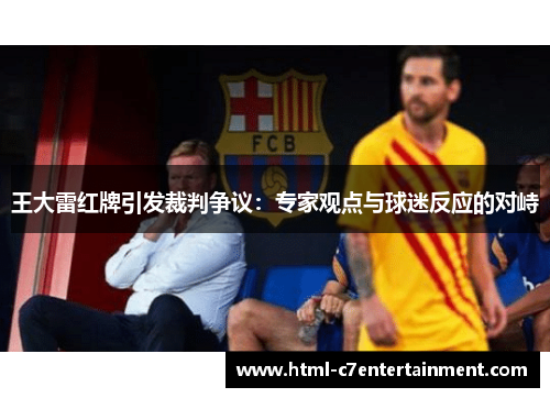 王大雷红牌引发裁判争议:专家观点与球迷反应的对峙 王大雷红牌引发裁判争议:专家观点与球迷反应的对峙