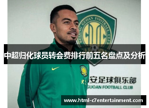 中超归化球员转会费排行前五名盘点及分析