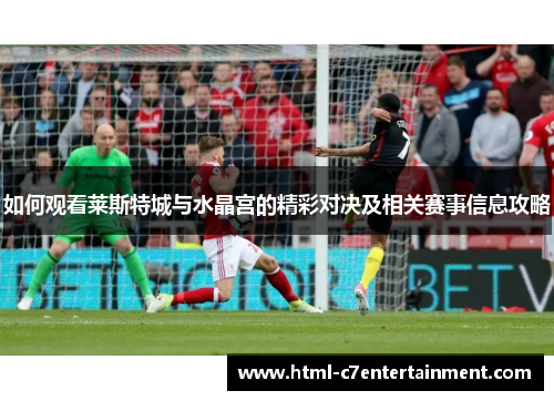 如何观看莱斯特城与水晶宫的精彩对决及相关赛事信息攻略