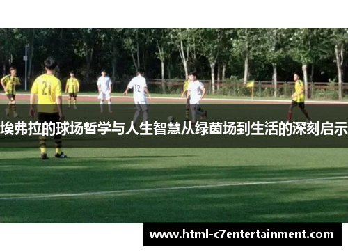 埃弗拉的球场哲学与人生智慧从绿茵场到生活的深刻启示