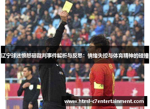 辽宁球迷愤怒砸裁判事件解析与反思：情绪失控与体育精神的碰撞