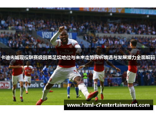 卡迪夫城现役联赛级别英足坛地位与未来走势探析境遇与发展潜力全面解码