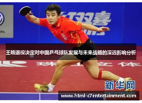 王皓退役决定对中国乒乓球队发展与未来战略的深远影响分析