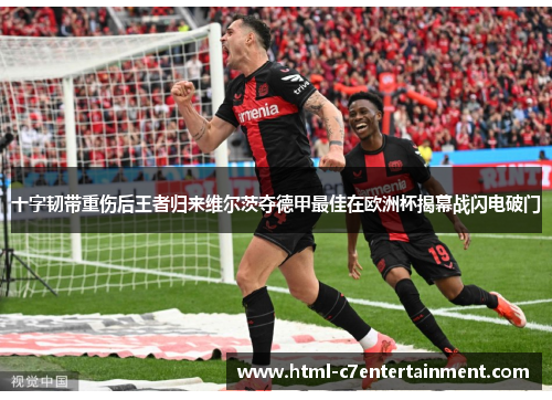 十字韧带重伤后王者归来维尔茨夺德甲最佳在欧洲杯揭幕战闪电破门
