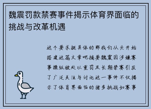 魏震罚款禁赛事件揭示体育界面临的挑战与改革机遇